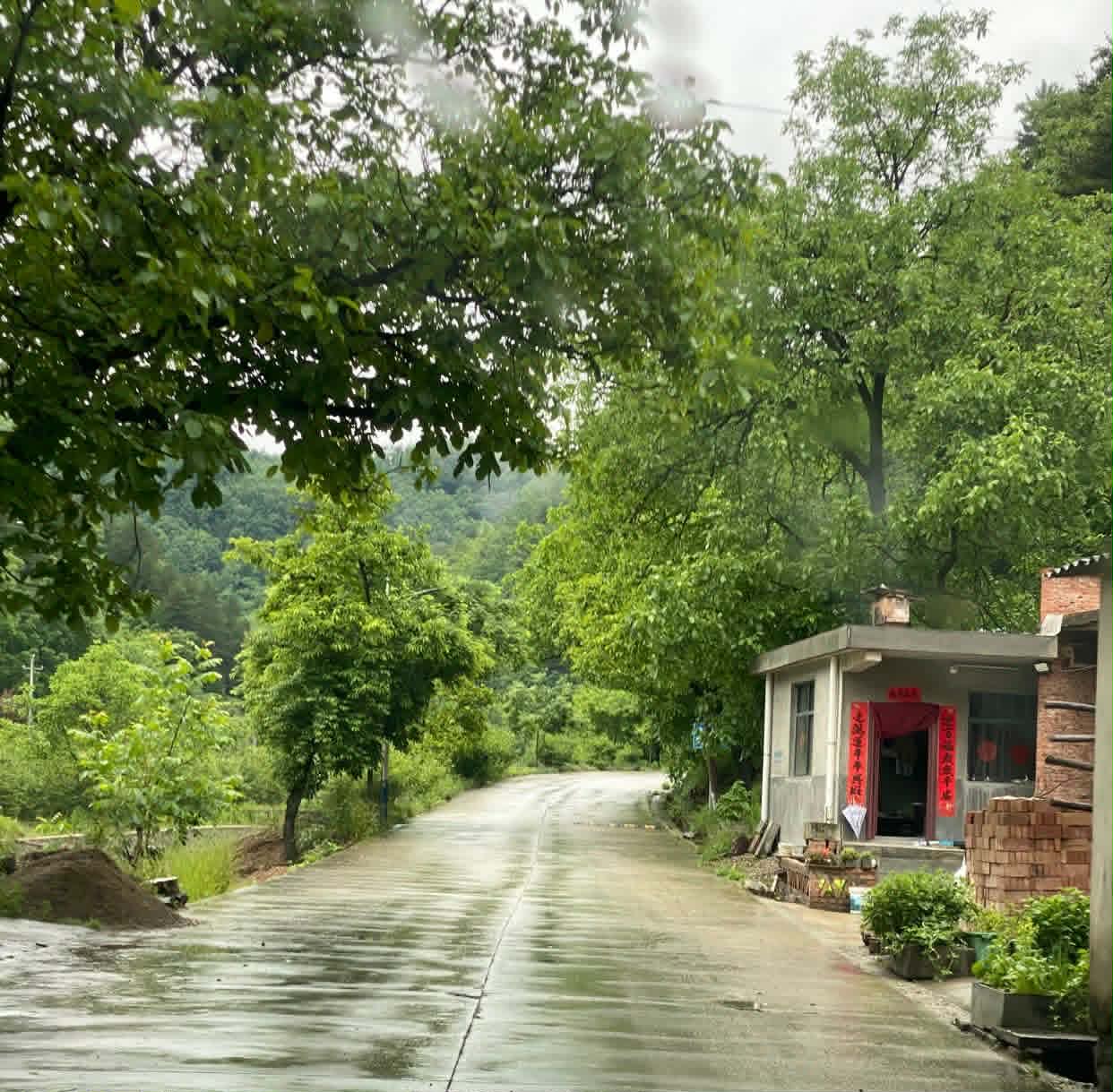 اقرأ على الأبواب والأشجار: كيف حوّل الصينيون الحكمة إلى أسلوب حياة… ولماذا غابت عن بيوتنا؟